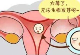 2026年无结婚证去哈尔滨做试管可以吗？试管流程／费用全攻略