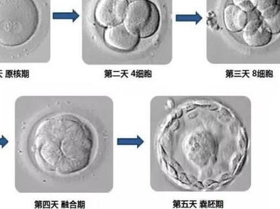 长春这边哪里可以做三代试管？