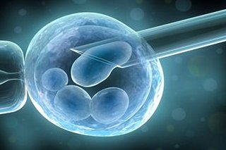 2026年武汉大学中南医院三代试管费用全攻略，一次需要多少钱？